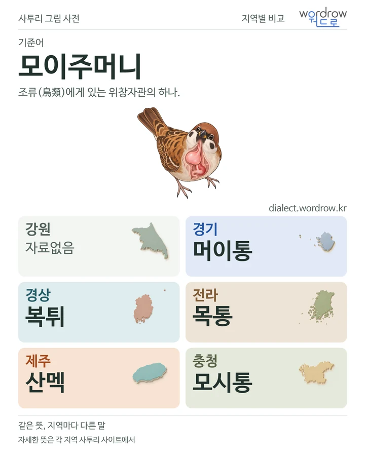 모이주머니의 여섯 지역 사투리 비교