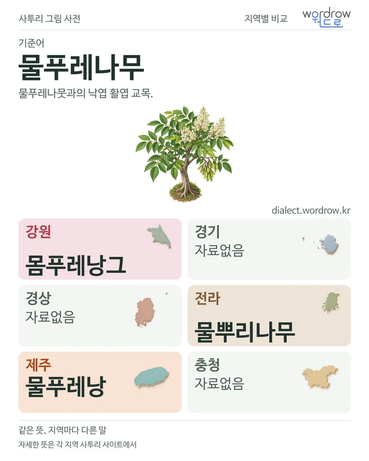 물푸레나무의 여섯 지역 사투리 비교