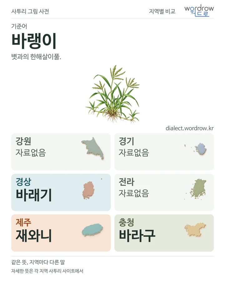 바랭이의 여섯 지역 사투리 비교