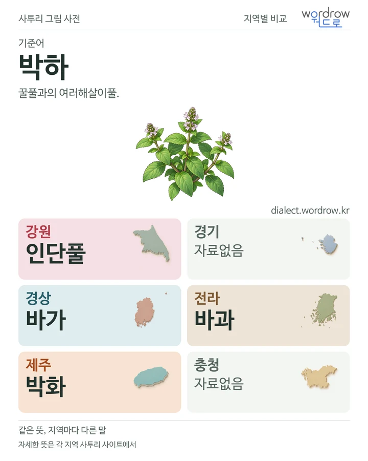 박하의 여섯 지역 사투리 비교