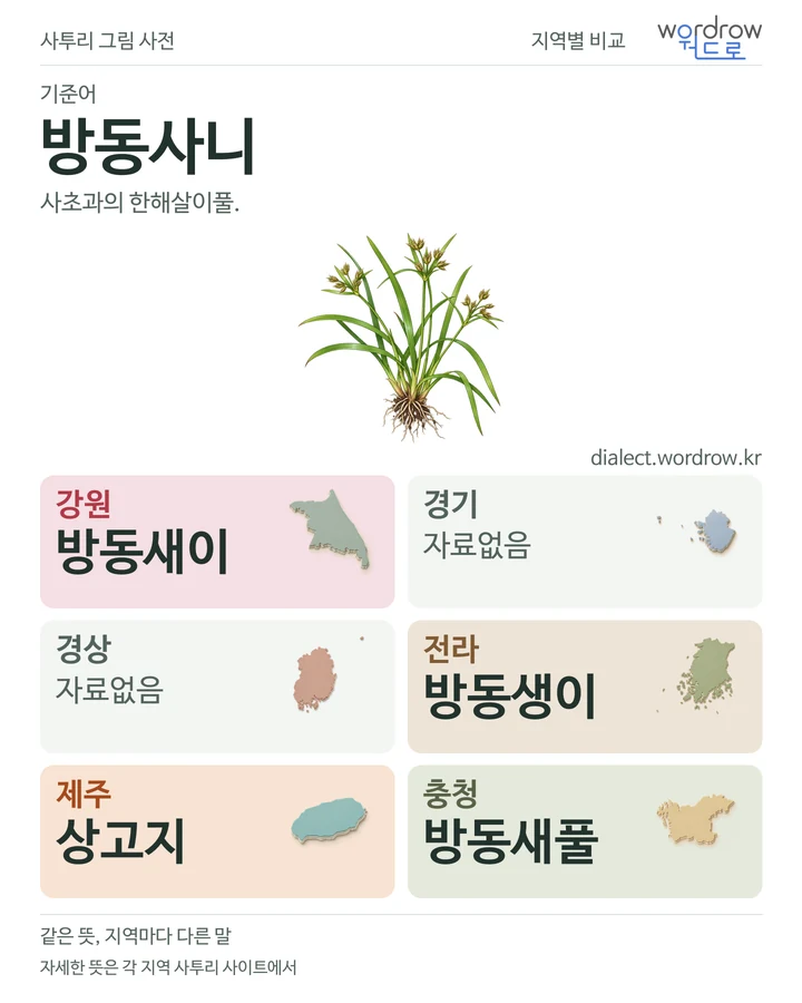 방동사니의 여섯 지역 사투리 비교