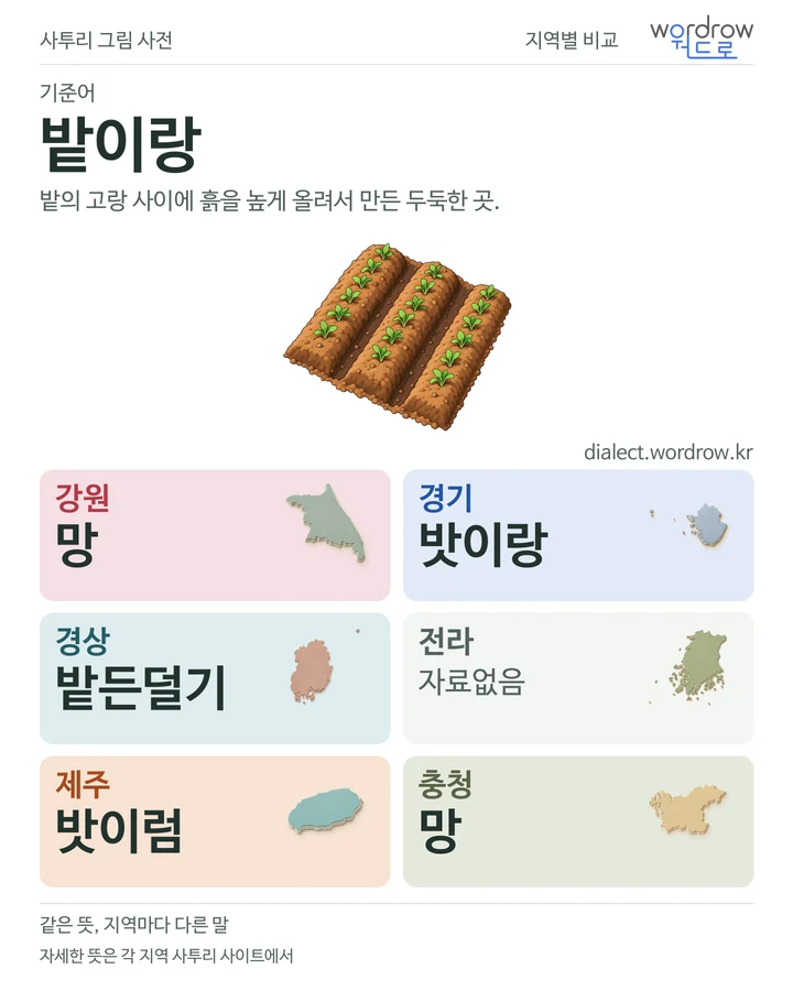 밭이랑의 여섯 지역 사투리 비교