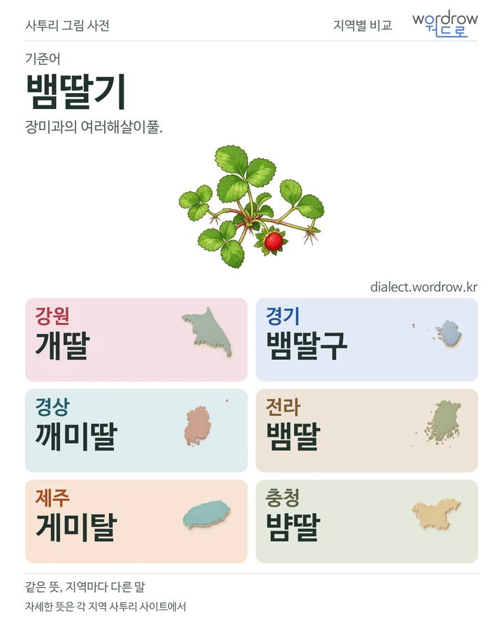 뱀딸기의 여섯 지역 사투리 비교