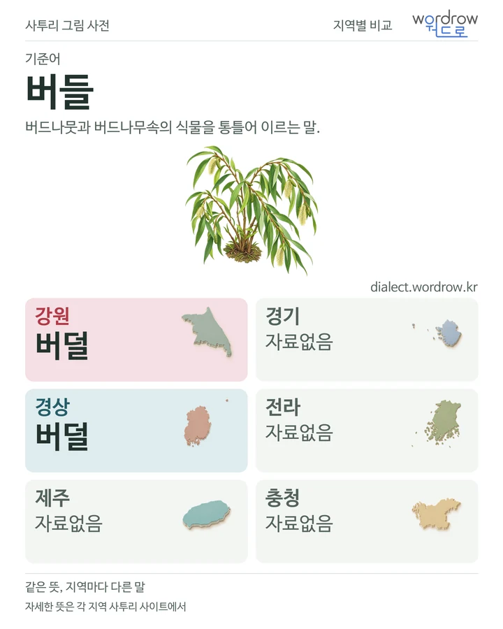 버들의 여섯 지역 사투리 비교