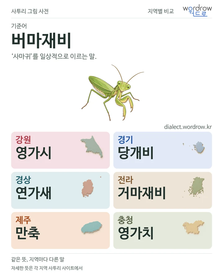 버마재비의 여섯 지역 사투리 비교