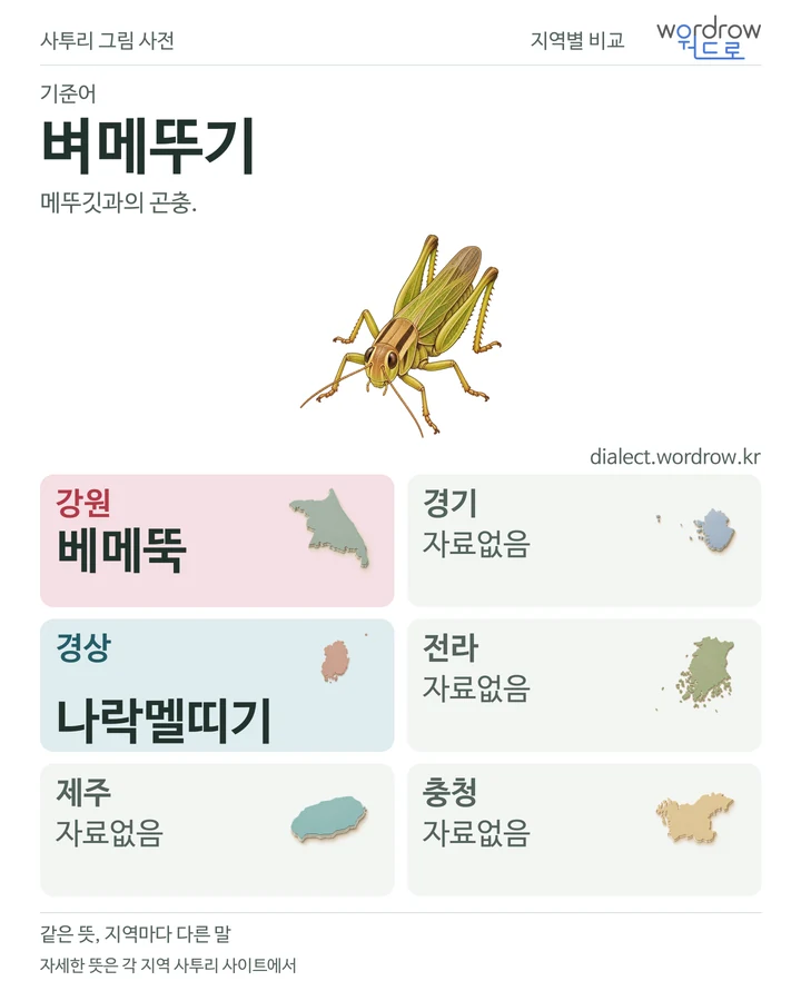 벼메뚜기의 여섯 지역 사투리 비교