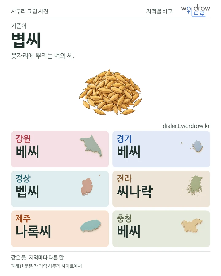 볍씨의 여섯 지역 사투리 비교