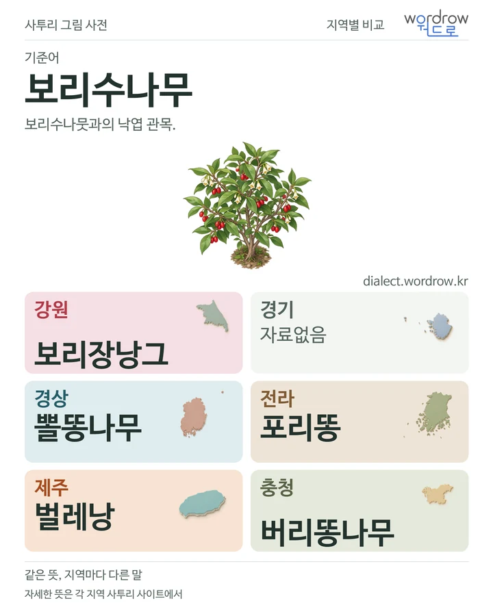 보리수나무의 여섯 지역 사투리 비교
