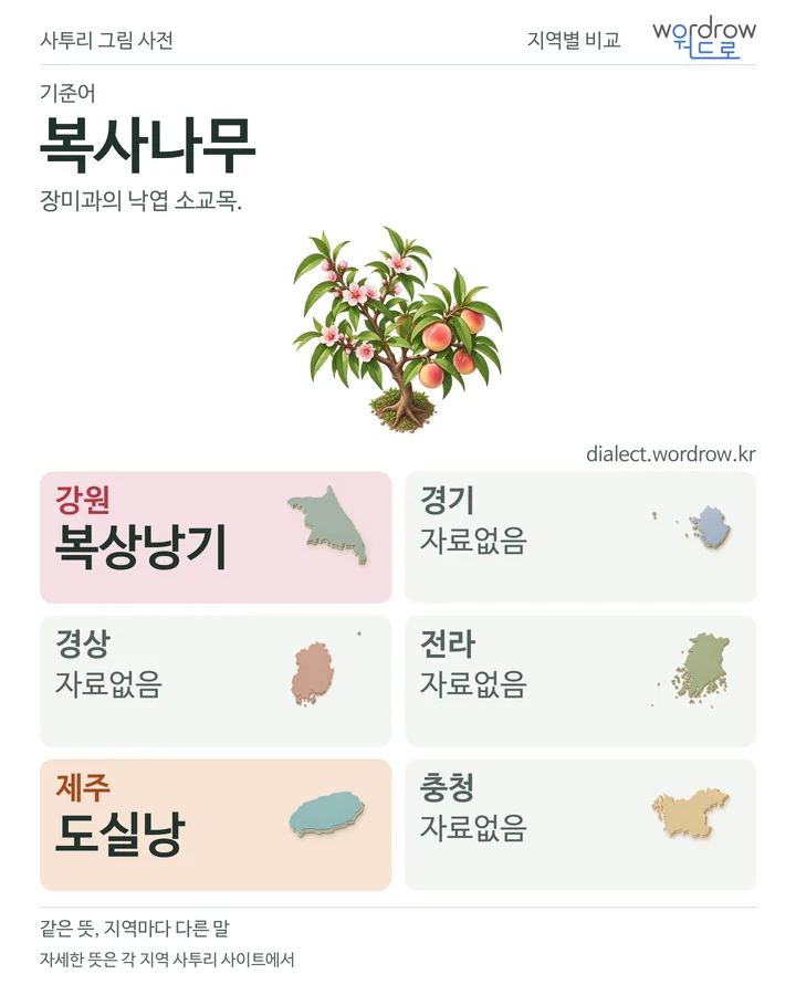 복사나무의 여섯 지역 사투리 비교