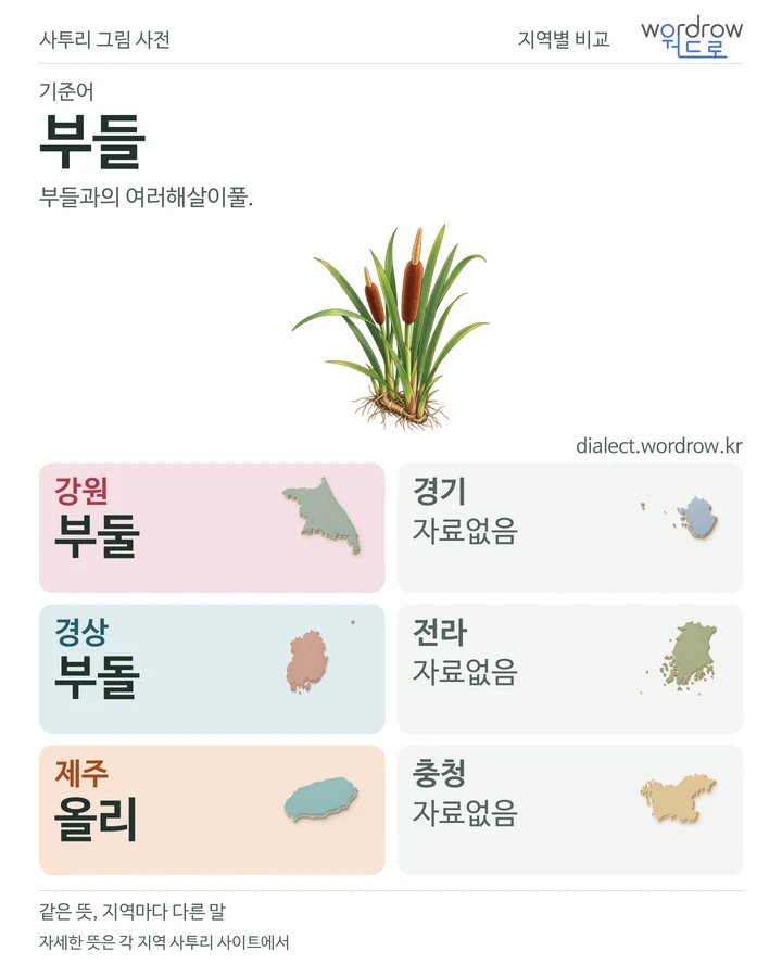부들의 여섯 지역 사투리 비교