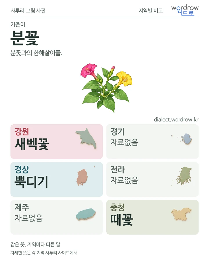 분꽃의 여섯 지역 사투리 비교