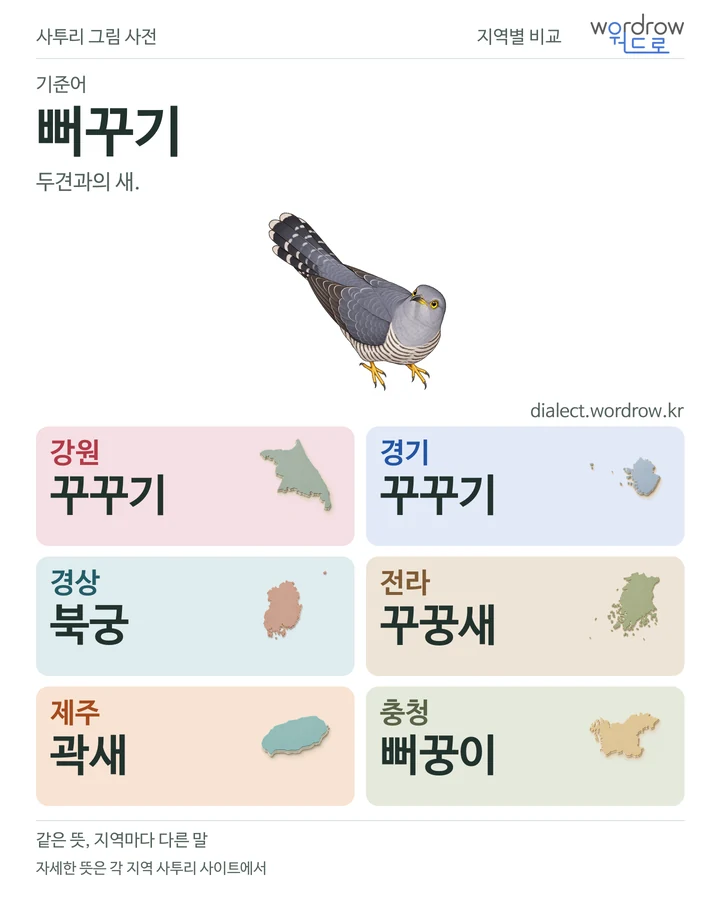 뻐꾸기의 여섯 지역 사투리 비교