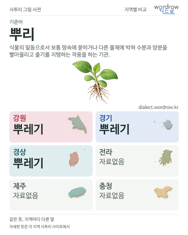 뿌리의 여섯 지역 사투리 비교