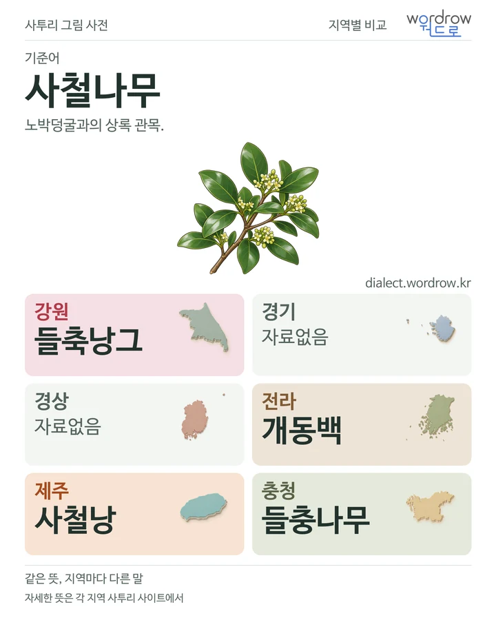 사철나무의 여섯 지역 사투리 비교