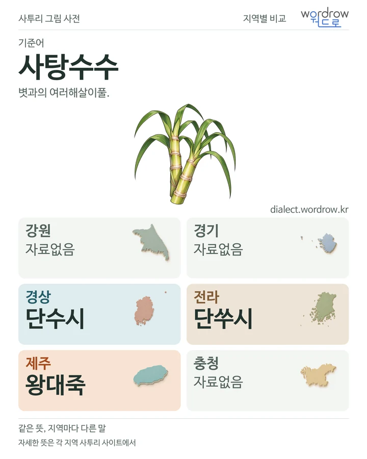 사탕수수의 여섯 지역 사투리 비교