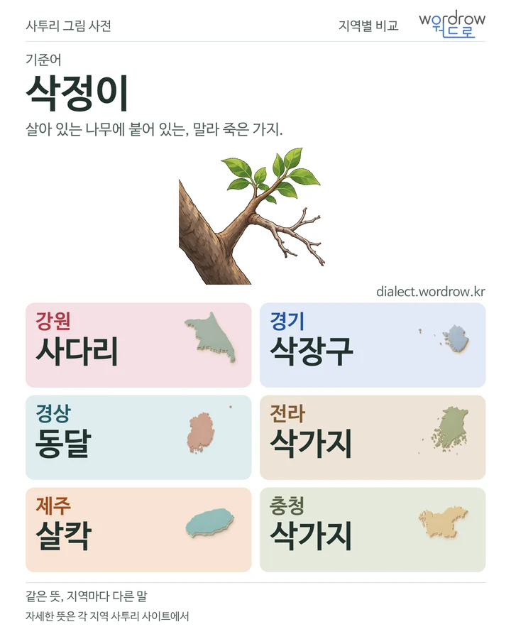 삭정이의 여섯 지역 사투리 비교
