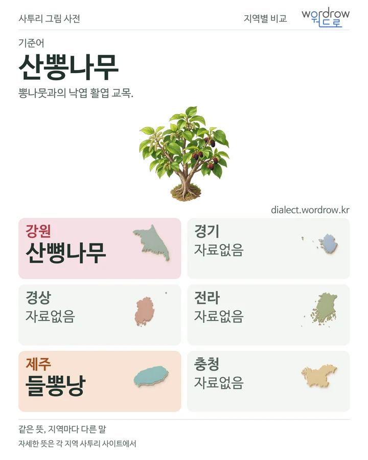 산뽕나무의 여섯 지역 사투리 비교