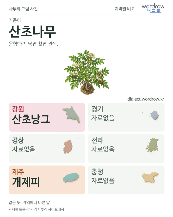 산초나무의 여섯 지역 사투리 비교