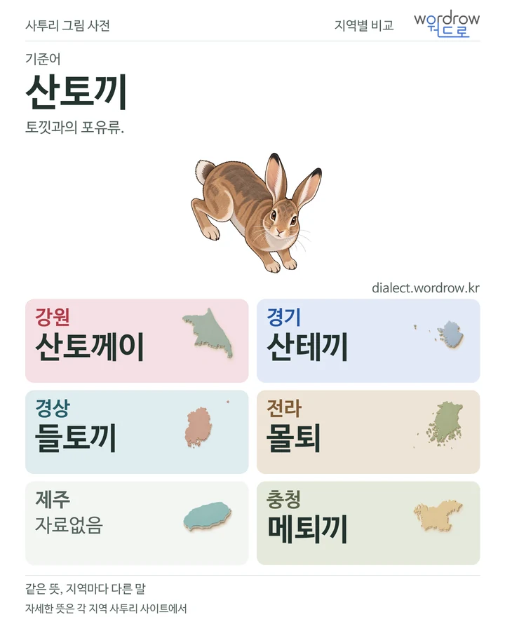 산토끼의 여섯 지역 사투리 비교