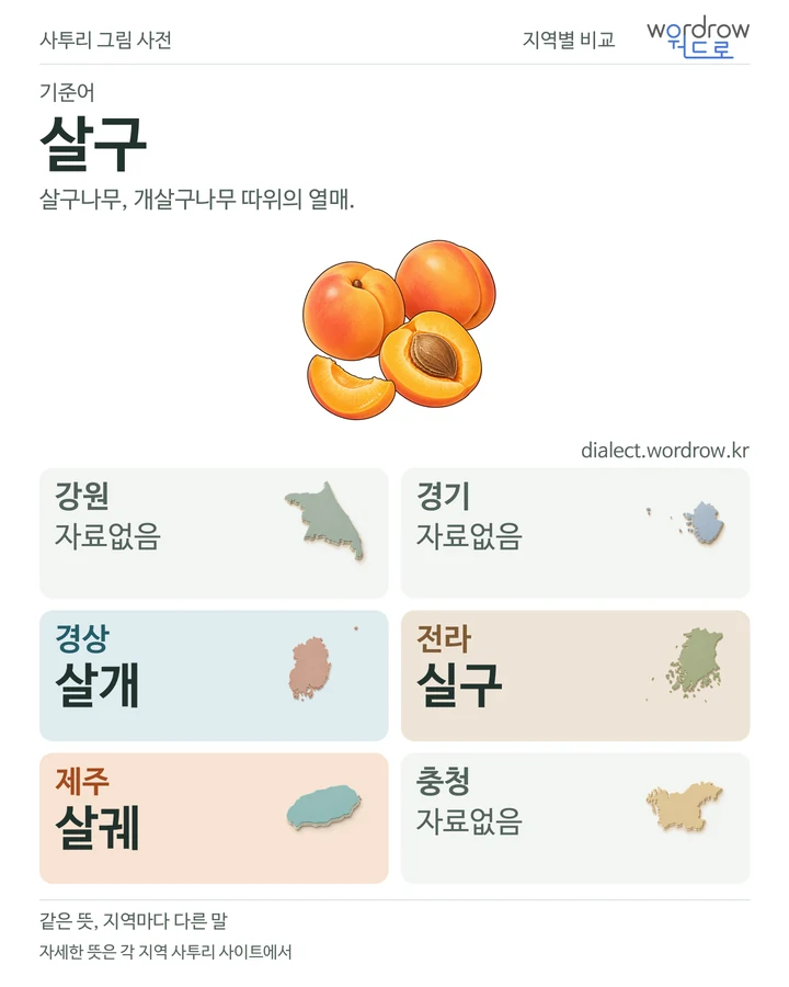 살구의 여섯 지역 사투리 비교