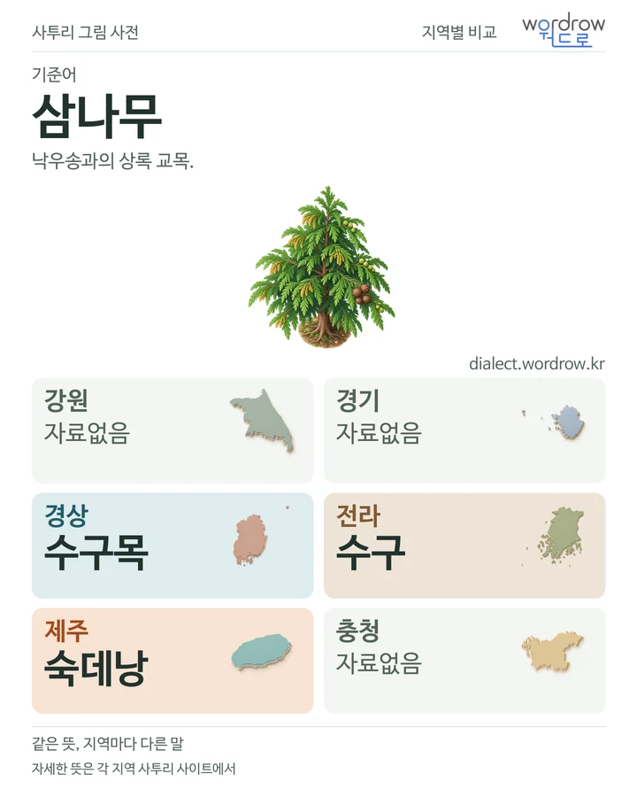 삼나무의 여섯 지역 사투리 비교