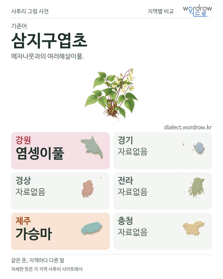 삼지구엽초의 여섯 지역 사투리 비교
