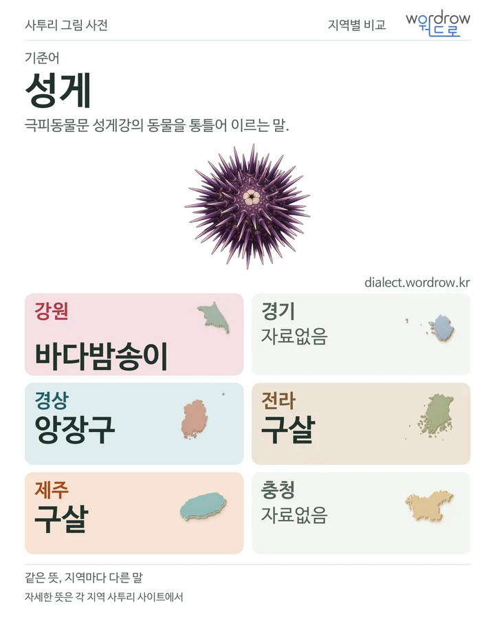 성게의 여섯 지역 사투리 비교