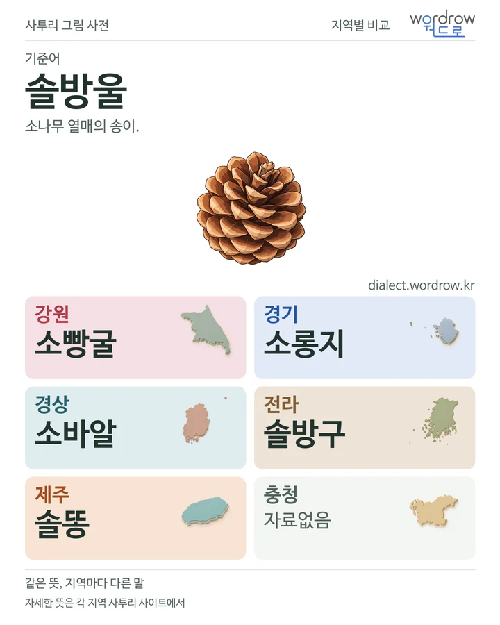 솔방울의 여섯 지역 사투리 비교