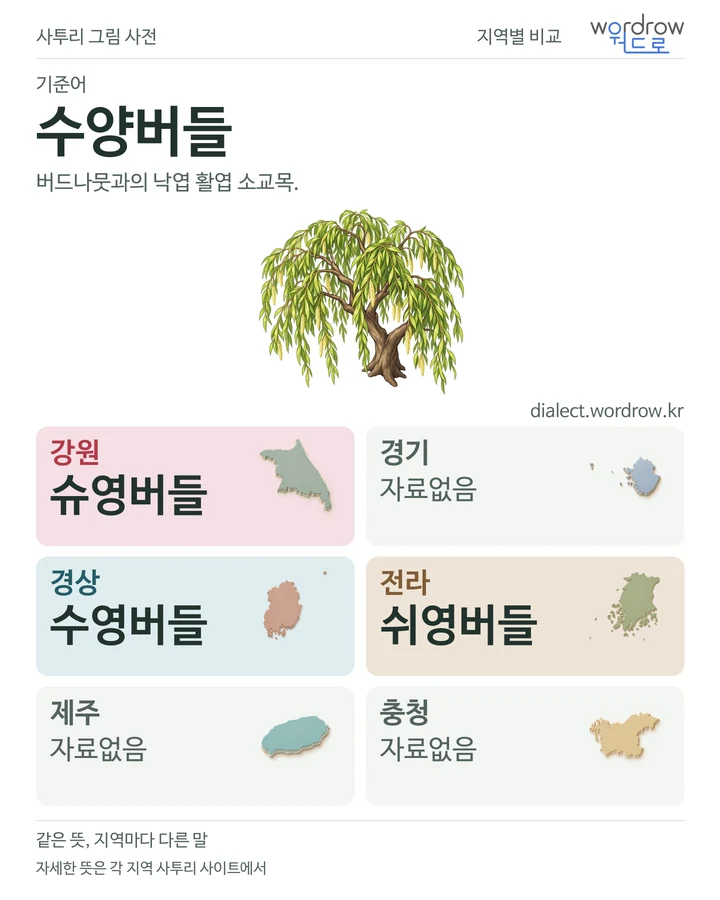 수양버들의 여섯 지역 사투리 비교