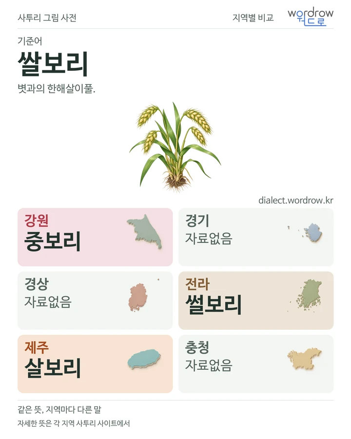 쌀보리의 여섯 지역 사투리 비교