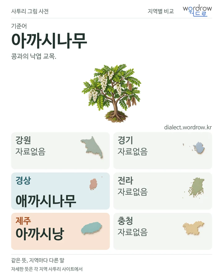 아까시나무의 여섯 지역 사투리 비교