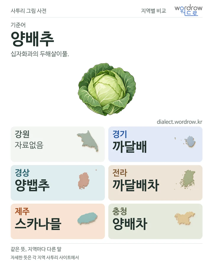 양배추의 여섯 지역 사투리 비교