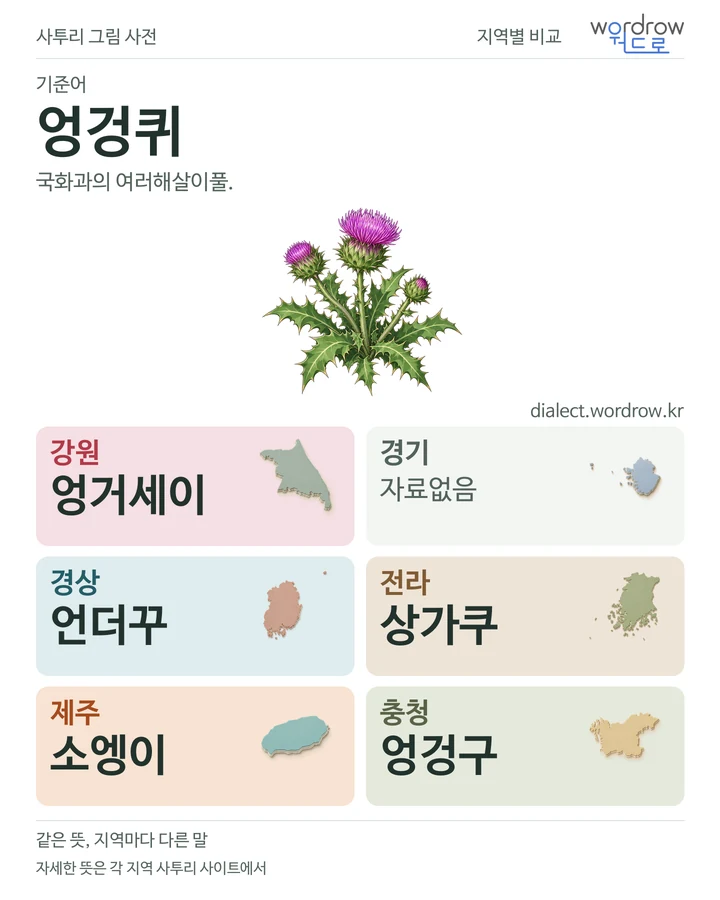 엉겅퀴의 여섯 지역 사투리 비교