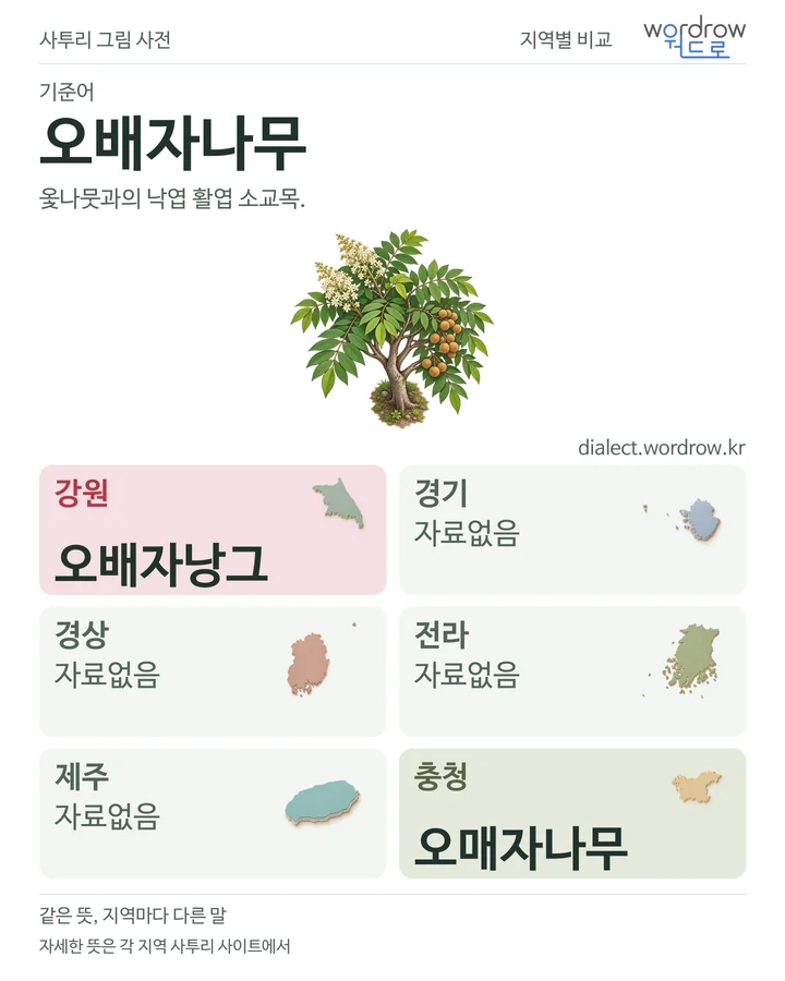 오배자나무의 여섯 지역 사투리 비교
