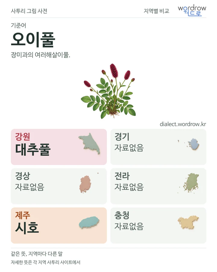오이풀의 여섯 지역 사투리 비교