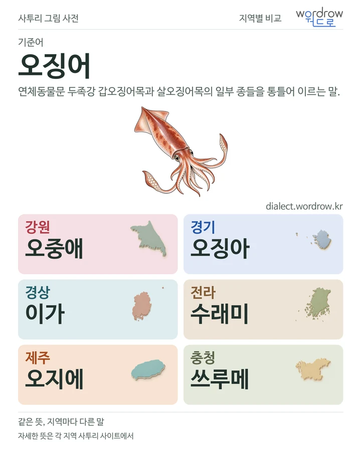 오징어의 여섯 지역 사투리 비교