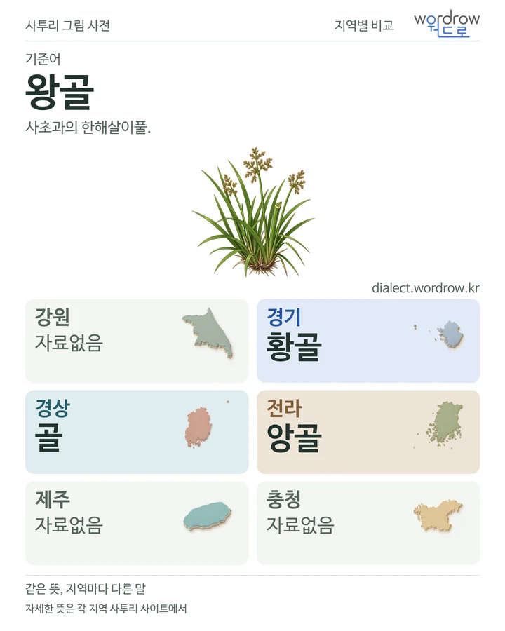왕골의 여섯 지역 사투리 비교
