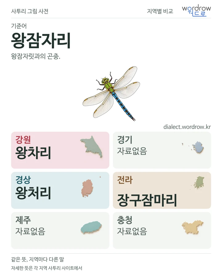 왕잠자리의 여섯 지역 사투리 비교