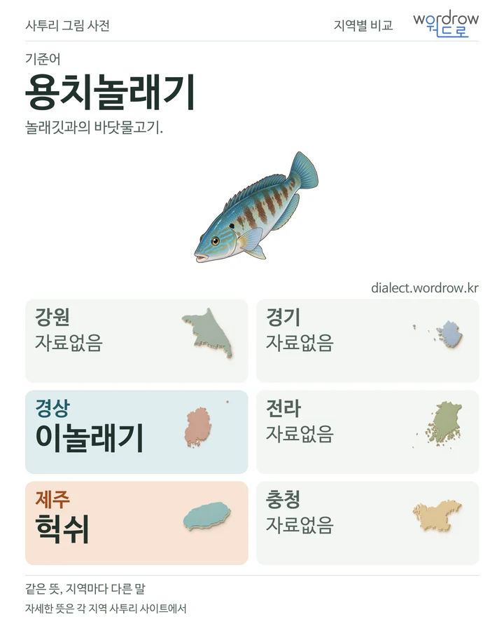 용치놀래기의 여섯 지역 사투리 비교