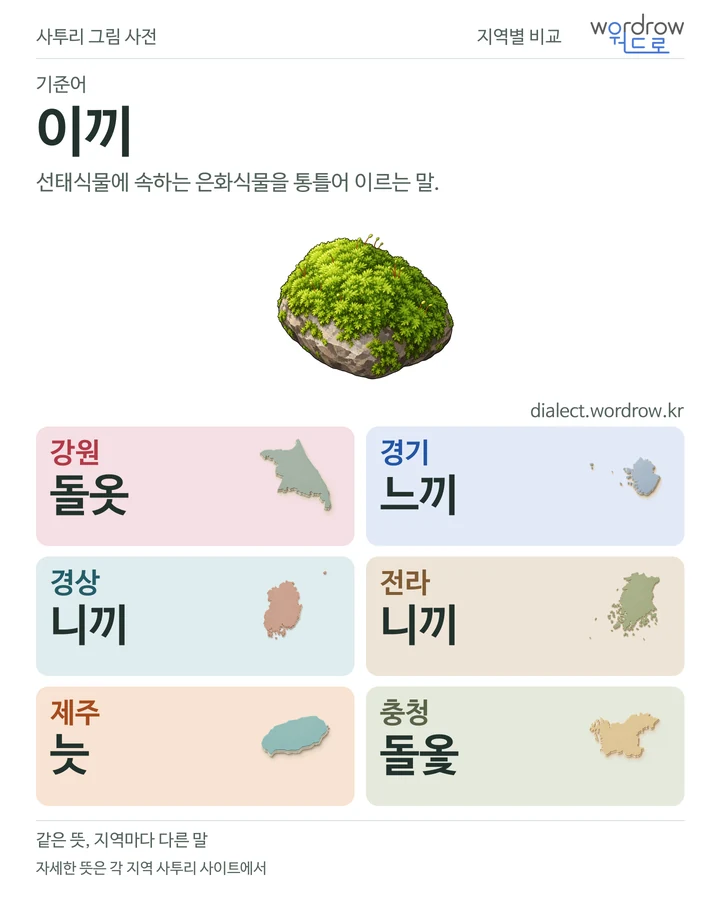 이끼의 여섯 지역 사투리 비교