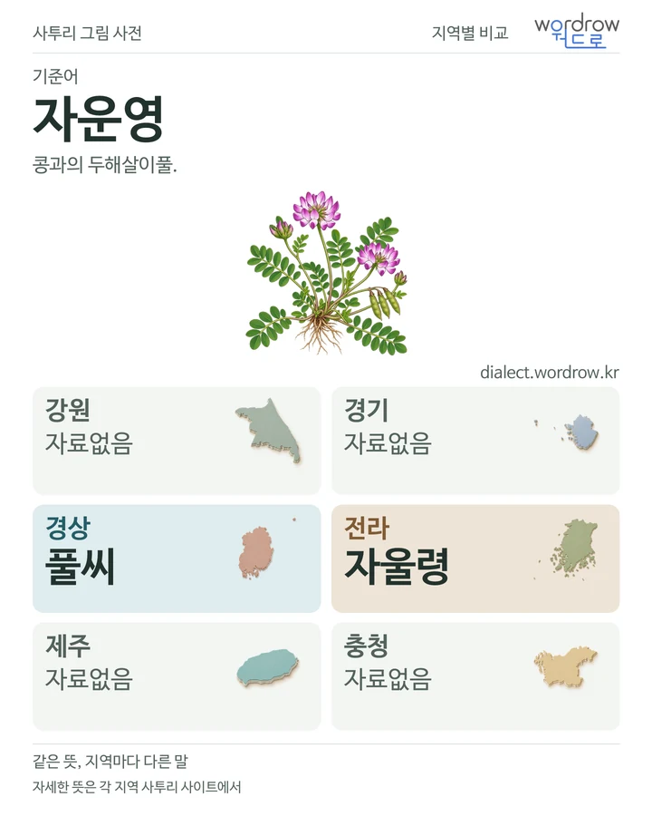 자운영의 여섯 지역 사투리 비교