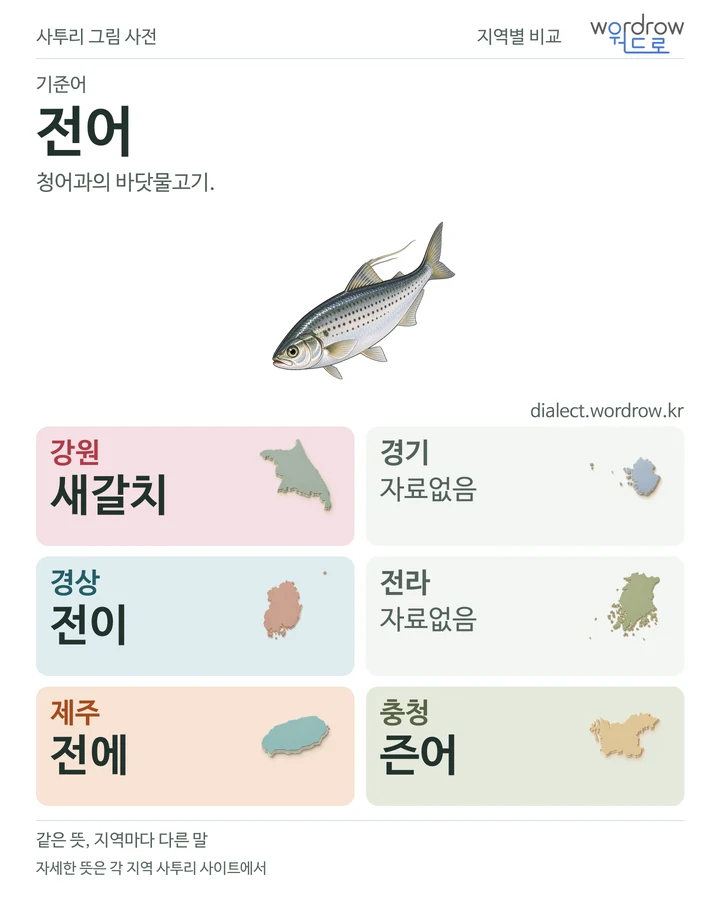 전어의 여섯 지역 사투리 비교