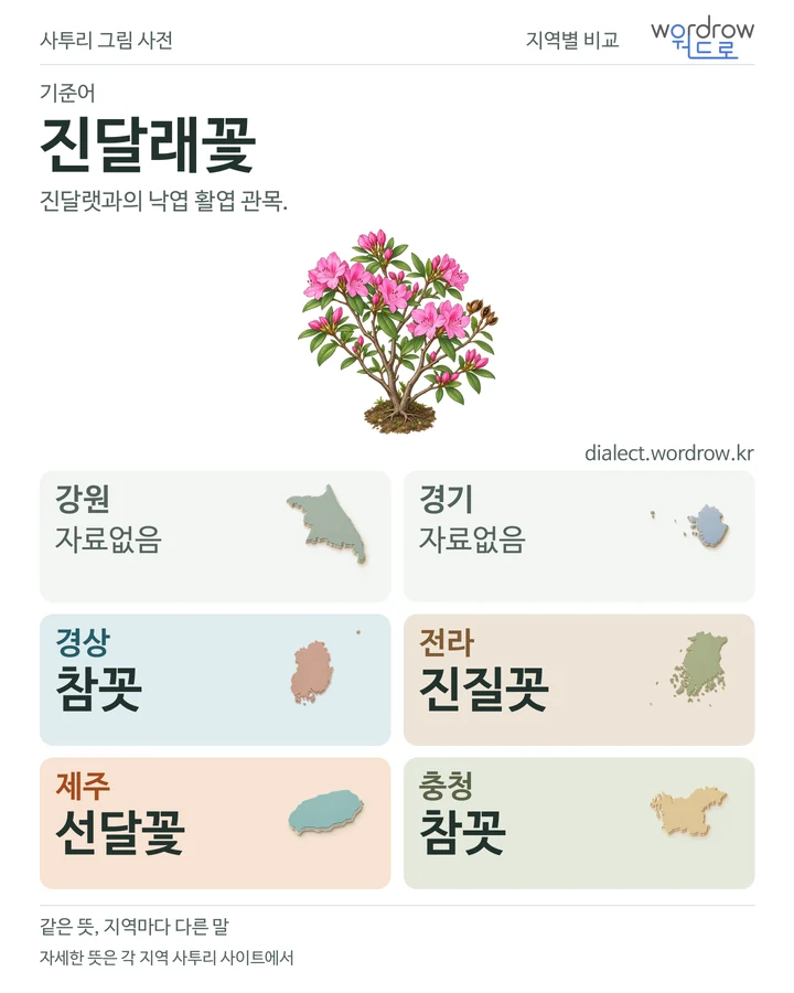 진달래꽃의 여섯 지역 사투리 비교