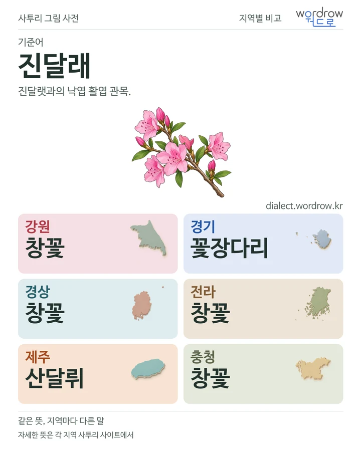 진달래의 여섯 지역 사투리 비교