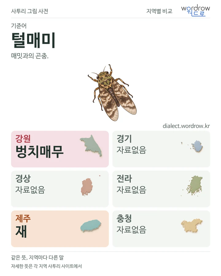 털매미의 여섯 지역 사투리 비교