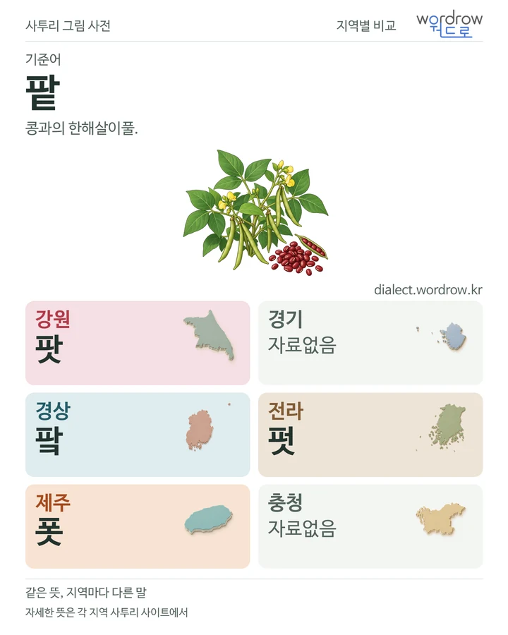 팥의 여섯 지역 사투리 비교