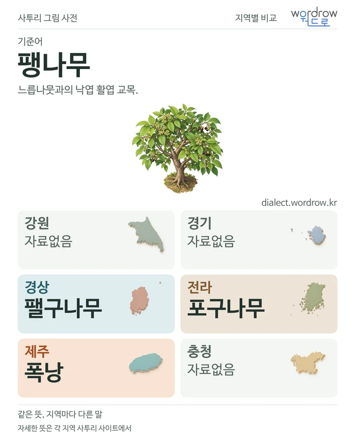 팽나무의 여섯 지역 사투리 비교