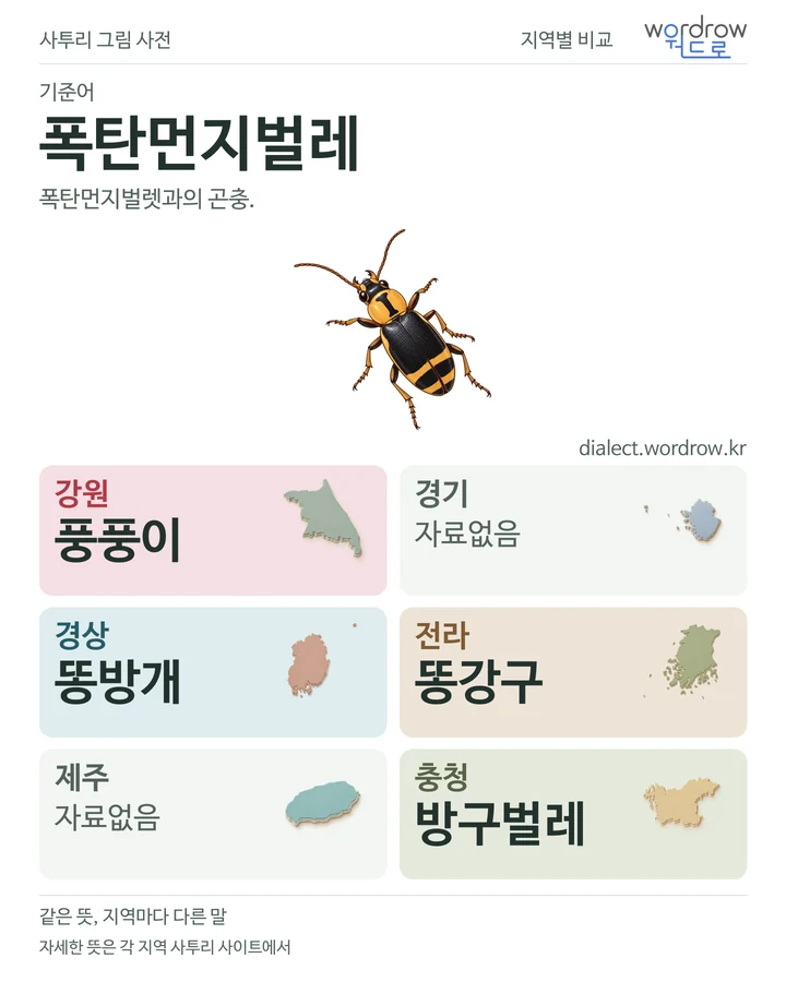 폭탄먼지벌레의 여섯 지역 사투리 비교
