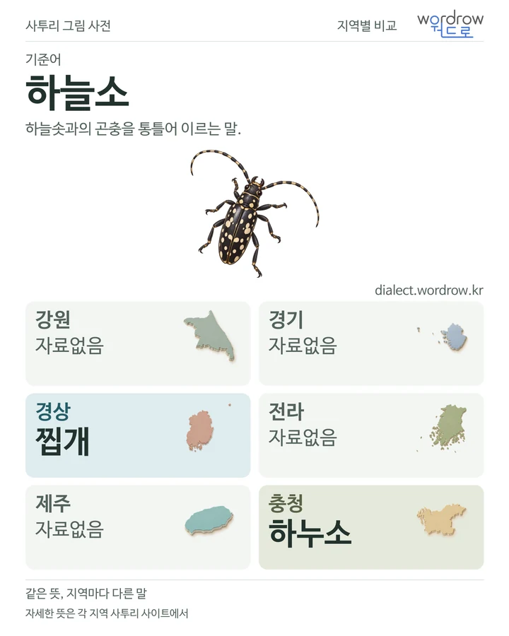 하늘소의 여섯 지역 사투리 비교