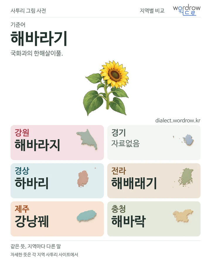 해바라기의 여섯 지역 사투리 비교